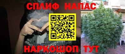 стаф Бугуруслан