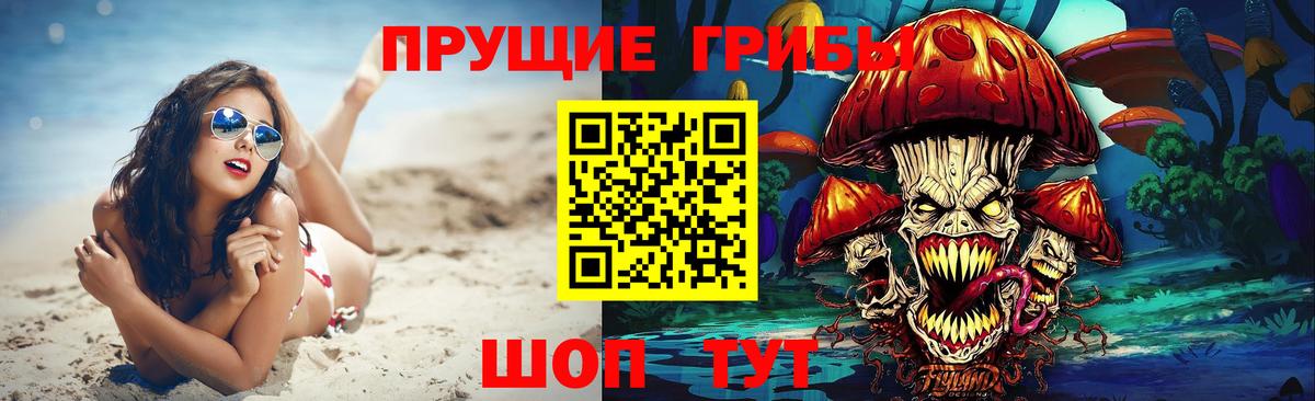 Тихорецк  где продают наркотики  Вход с VPN  Галлюциногенные грибы Magic Shrooms  Псилоцибиновые грибы Psilocybe 